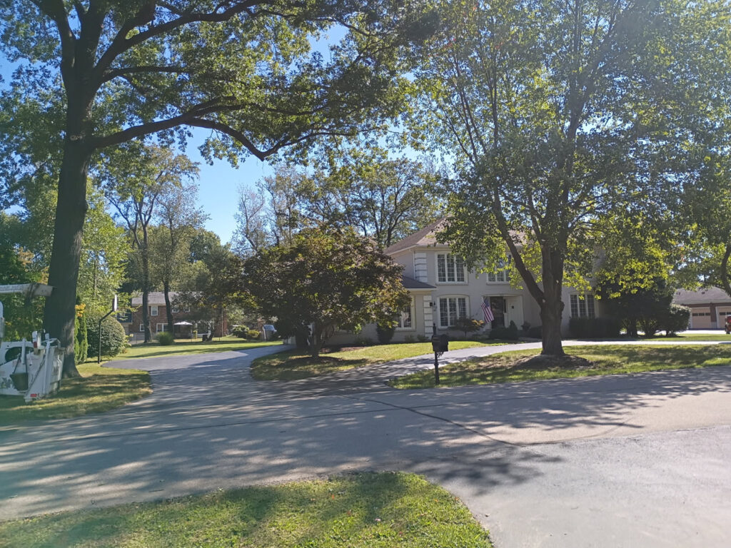 After Tree Removal - Arbor Essence Tree Care